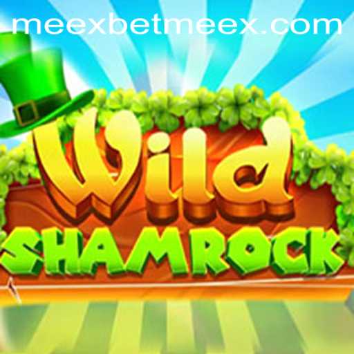 Exploring the Excitement of WildShamrock on Meexbet